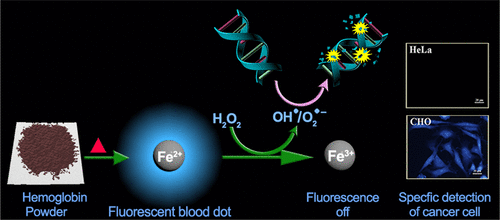 Blood Dots: Hemoglobin-Derived Carbon Dots as Hydrogen Peroxide Sensors ...