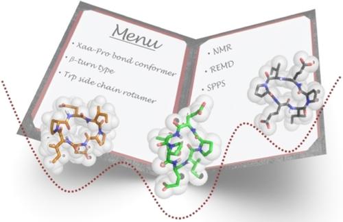 A La Carte Cyclic Hexapeptides Fine Tuning Conformational Diversity While Preserving The Peptide Scaffold Chemistryselect X Mol