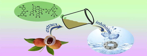 盐酸溶液中荔枝果实废液提取物对低碳钢的腐蚀防护:实验和理论研究,Journal of Colloid and Interface ...