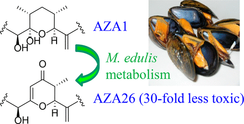 Identification of 21,22-Dehydroazaspiracids in Mussels (Mytilus edulis ...
