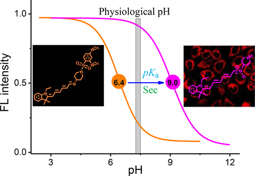 Sensitive and Selective Fluorescent Probe for Selenol in Living Cells ...