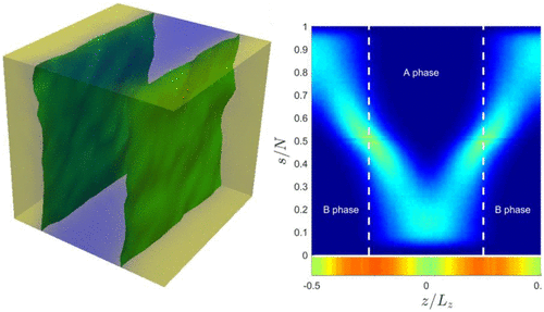 A Detailed Examination of the Topological Constraints of Lamellae ...