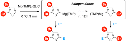 Bisamide Magnesium Bisamide-Mediated Halogen Dance of Bromothiophenes,Organic ...