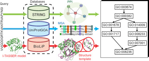 Jmb Resolution MetaGO: Predicting Gene Ontology of Non-homologous Proteins Through Low ...