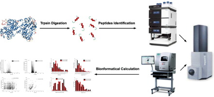 Complementation Of UPLC-Q-TOF-MS And CESI-Q-TOF-MS On Identification ...