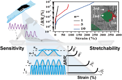 Through-Layer Buckle Wavelength-Gradient Design for the Coupling of ...