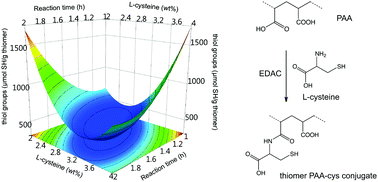 Synthesis of thiomers: screening and optimization using chemometrics ...