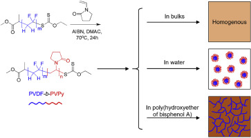 Poly(vinylidene Fluoride)-block-poly(N-vinylpyrrolidone) Diblock ...