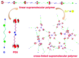 A Dual-responsive Cross-linked Supramolecular Polymer Network Gel ...