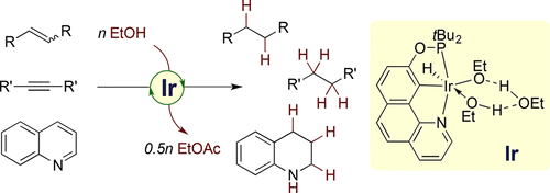 Transfer Hydrogenation of Alkenes Using Ethanol Catalyzed by A NCP ...