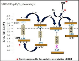 Nanojunction-mediated visible light photocatalytic enhancement in ...
