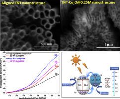Surface modification of aligned TiO2 nanotubes by Cu2O nanoparticles ...