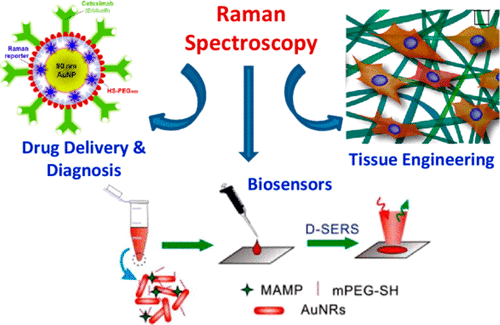 Raman Spectroscopy for Advanced Polymeric Biomaterials,ACS