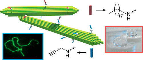 Surface charge effect on Pickering encapsulation with ionic cellulose  nanocrystals