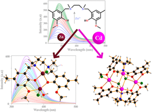 Modulation of Nuclearity by Zn(II) and Cd(II) in Their Complexes with a ...