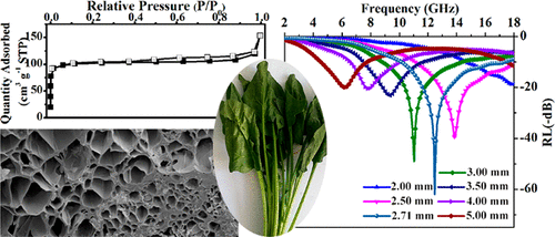 Hierarchically Porous Carbons Derived from Biomasses with Excellent ...