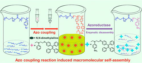 Azo Coupling Reaction Induced Macromolecular Self-Assembly In Aqueous ...