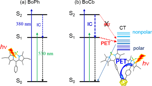 Photoinduced Electron Transfer in a BODIPY-ortho-Carborane Dyad ...
