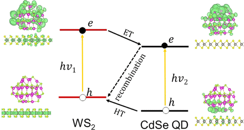 Nonadiabatic Molecular Dynamics Simulation of Charge Separation and ...