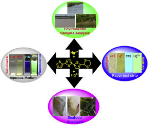 A highly selective colorimetric and ratiometric fluorescent probe for ...