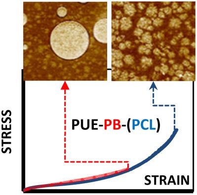 Polyurethane Elastomers Based On Amphiphilic Poly(caprolactone)‐b‐poly ...