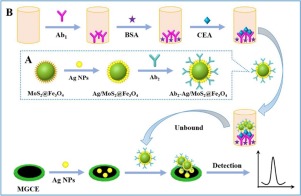 Sandwich-type electrochemical immunosensor for CEA detection based on ...