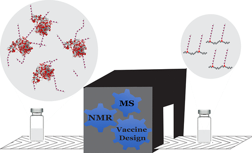 Improving Analytical Characterization Of Glycoconjugate Vaccines ...