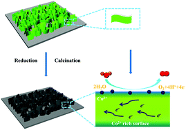 Probing the active sites of Co3O4 for the acidic oxygen evolution ...