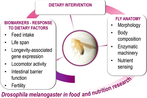 Drosophila Melanogaster Journal Of Agricultural drosophila-melanogaster-journal-of-agricultural