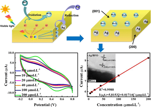 Enhanced And Facet-specific Electrocatalytic Properties Of Ag/Bi2Fe4O9 ...