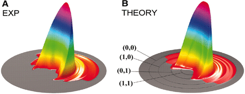 Ab Initio Potential Energy Surfaces and Quantum Dynamics for Polyatomic ...