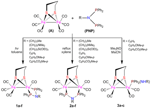 Pnp Chelated And Bridged Diiron Dithiolate Complexes Fe2 M Pdt Co 4 Ph2p 2nr Together With Related Monophosphine Complexes For The 2fe H Subsite Of Fefe Hydrogenases Preparation Structure And Electrocatalysis Organometallics X Mol