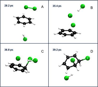 Solvent and Autocatalytic Effects on the Stabilisation of the σ‐Complex ...