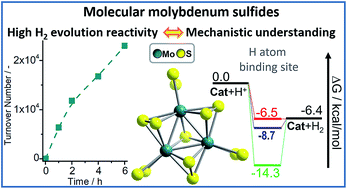 Understanding homogeneous hydrogen evolution reactivity and ...