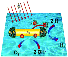 Plasmon-enhanced electrocatalytic hydrogen/oxygen evolution by Pt/Fe–Au ...