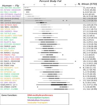 A high throughput, functional screen of human Body Mass Index GWAS loci ...