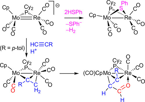 Acceptor Behavior And E H Bond Activation Processes Of The Unsaturated Heterometallic Anion Morecp M Pcy2 Co 5 Mo Re Organometallics X Mol