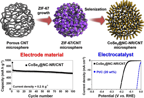 Mof Templated N Doped Carbon Coated Cose2 Nanorods Supported On Porous Cnt Microspheres With Excellent Sodium Ion Storage And Electrocatalytic Properties Acs Applied Materials Interfaces X Mol