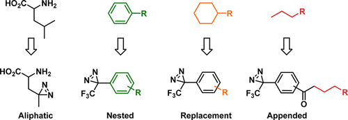 Fishing For Drug Targets: A Focus On Diazirine Photoaffinity Probe ...