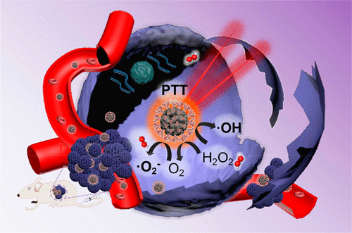 All-in-One Theranostic Nanoagent With Enhanced Reactive Oxygen Species ...