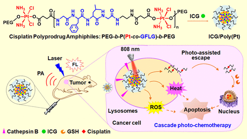 Cascade-Promoted Photo-Chemotherapy Against Resistant Cancers By Enzyme ...