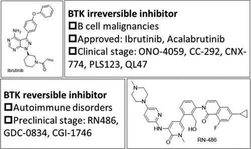 Targeting Bruton's Tyrosine Kinase For The Treatment Of B Cell ...