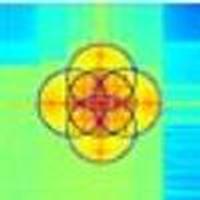 One-shot synthetic aperture digital holographic microscopy with non ...