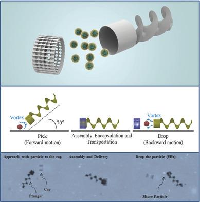 A Capsule‐Type Microrobot with Pick‐and‐Drop Motion for Targeted Drug ...