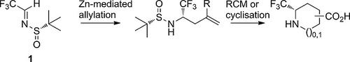 Asymmetric Synthesis of Cyclic Fluorinated Amino Acids,European Journal ...