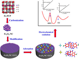 A novel electrochemical sensor based on Fe3O4-doped nanoporous carbon ...