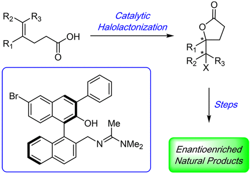 Enantioselective Halolactonization Reactions Using Binol Derived Bifunctional Catalysts Methodology Diversification And Applications The Journal Of Organic Chemistry X Mol