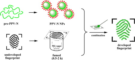 Fluorescence development of fingerprints by combining conjugated ...