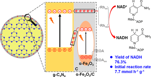 G C3n4 A Fe2o3 C Photocatalysts Synergistically Intensified Charge Generation And Charge Transfer For Nadh Regeneration Acs Catalysis X Mol