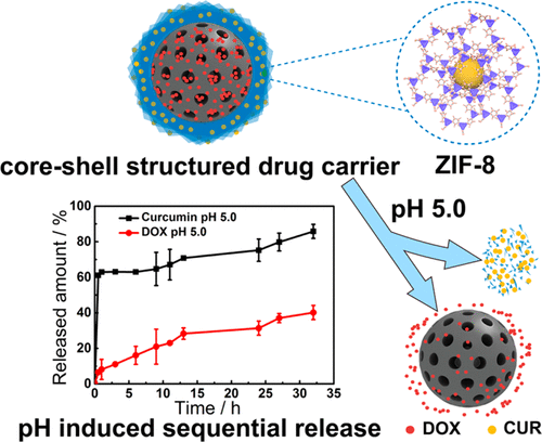 Hybrid Mesoporous–Microporous Nanocarriers For Overcoming Multidrug ...